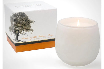 Botanique Candle Collection | 16 oz - DWELL by CM